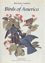 Birds of America, Ophalen of Verzenden, Nieuw