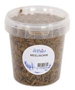 Meelworm Black Soldier Fly - 120 GR (390253), Verzenden, Nieuw