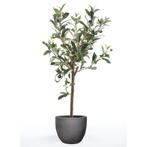 Emerald Kunstplant olijfboom mini 65 cm (Kunstgras-Planten), Nieuw, Verzenden