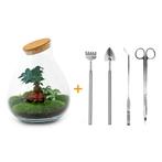 DIY terrarium - Drop XL Bonsai - 37 cm - Rake + Shovel + Tw, Verzenden