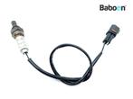 Lambda Sonde KTM 1190 RC8 + RC8R 2008-2010, Verzenden, Gebruikt