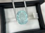 Zonder Minimumprijs - 1 pcs Blauw Paraiba toermalijn - 15.90, Nieuw