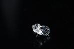 Figuur - Swarovski - Panda Baby (Boxed + certificate) -