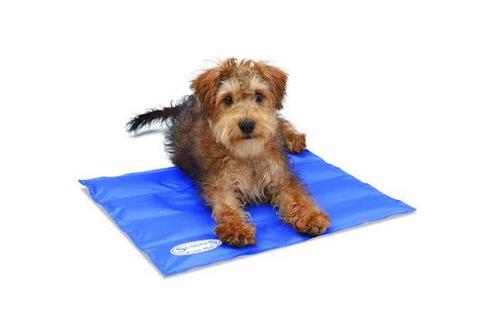 Scruffs Koelmat Hond - Blauw - S: - 50 x 40 cm, Dieren en Toebehoren, Honden-accessoires, Verzenden