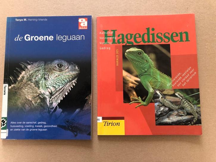 Terrarium - 2 Handboeken - Groene Leguaan + Hagedissen, Boeken, Dieren en Huisdieren, Gelezen, Reptielen of Amfibieën, Ophalen of Verzenden