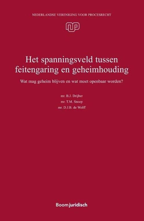 9789462128408 NVvP-reeks 48 - Het spanningsveld tussen fe..., Boeken, Studieboeken en Cursussen, Nieuw, Verzenden