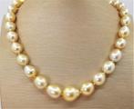 No Reserve - Large 12x15mm Champagne  South Sea Pearls - 14