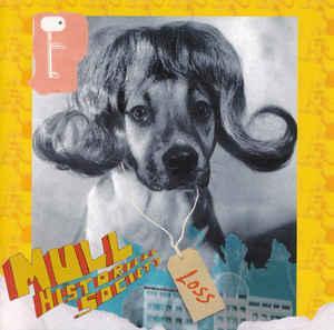 cd - Mull Historical Society - Loss, Cd's en Dvd's, Cd's | Overige Cd's, Zo goed als nieuw, Verzenden