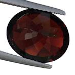Zonder Minimumprijs Rood Granaat - 5.93 ct - International, Nieuw
