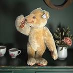 Steiff - Pluche dier Steiff Dicky Bear – Ref. 0172/32 –