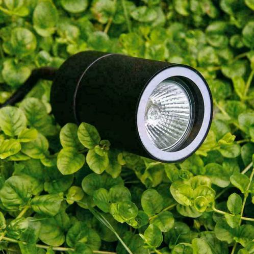 Tuinspot LED Prikspot Buitenverlichting Tuin grondspots, Tuin en Terras, Buitenverlichting, Waterbestendig, Led, Netvoeding, Minder dan 50 watt