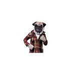 Fun honden verkleedset voor volwassenen - Verkleedsetjes, Ophalen of Verzenden, Nieuw