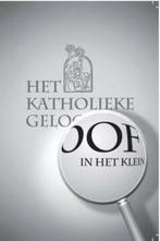 Het Katholieke Geloof in het Klein 9789090254876 H. Schilder, Verzenden, Zo goed als nieuw, H. Schilder