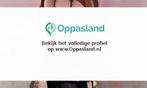 Ik ben Robin, 24 jaar oud en ik zoek oppaswerk in Heemskerk.