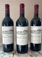 2009 Chateau Pontet-Canet - Pauillac 5ème Grand Cru Classé -, Nieuw