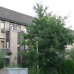 Huis met Balkon te huur gevonden in Veenendaal, Huizen en Kamers, Overige soorten, Direct bij eigenaar, Veenendaal