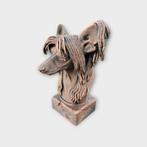 Bust of a chinese crested dog statue - home decor dog lover, Verzenden, Nieuw
