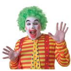 Verkleed clown pruik groen voor volwassenen - Pruiken unisex, Nieuw, Ophalen of Verzenden