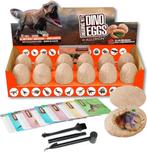 Allerion Dino Graaf Kit - 12 Dino Eieren – Speelset -, Ophalen of Verzenden, Nieuw