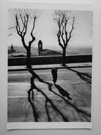 Claudio Montecucco - Abitudini, Antiek en Kunst