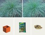 Gevulde plantenbak - Luxor Plantenbak Cortenstaal (L)60 x (B, Tuin en Terras, Planten | Tuinplanten, Ophalen of Verzenden