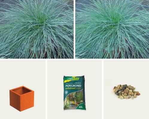 Gevulde plantenbak - Luxor Plantenbak Cortenstaal (L)60 x (B, Tuin en Terras, Planten | Tuinplanten, Ophalen of Verzenden
