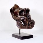 Jake Richmond - sculptuur, Lebensgroßer Berggorilla-Schädel, Antiek en Kunst