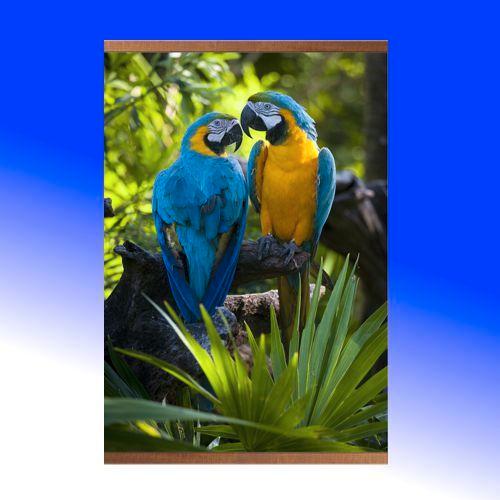 Infrarood verwarmer 500Watt, Papegaai, DAT, Doe-het-zelf en Verbouw, Verwarming en Radiatoren, Verzenden