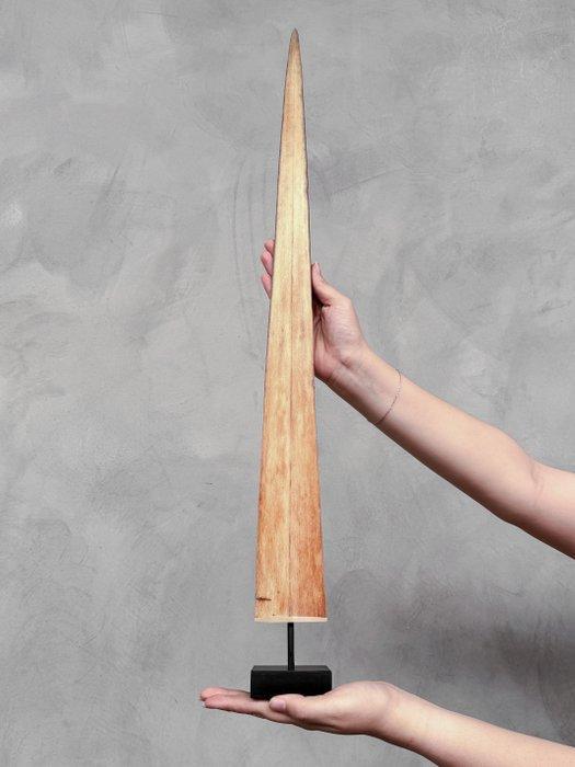Geen minimumprijs - Een zwaardvisgehoorntak gemonteerd op, Antiek en Kunst, Curiosa en Brocante