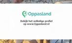 Marloes zoekt een oppas in Velp voor 2 kinderen.