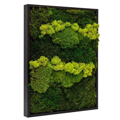 Mosschilderij Lappen-Rendier-Bolmos Zwart - Skive Lentegroen, Huis en Inrichting, Woonaccessoires | Lijsten