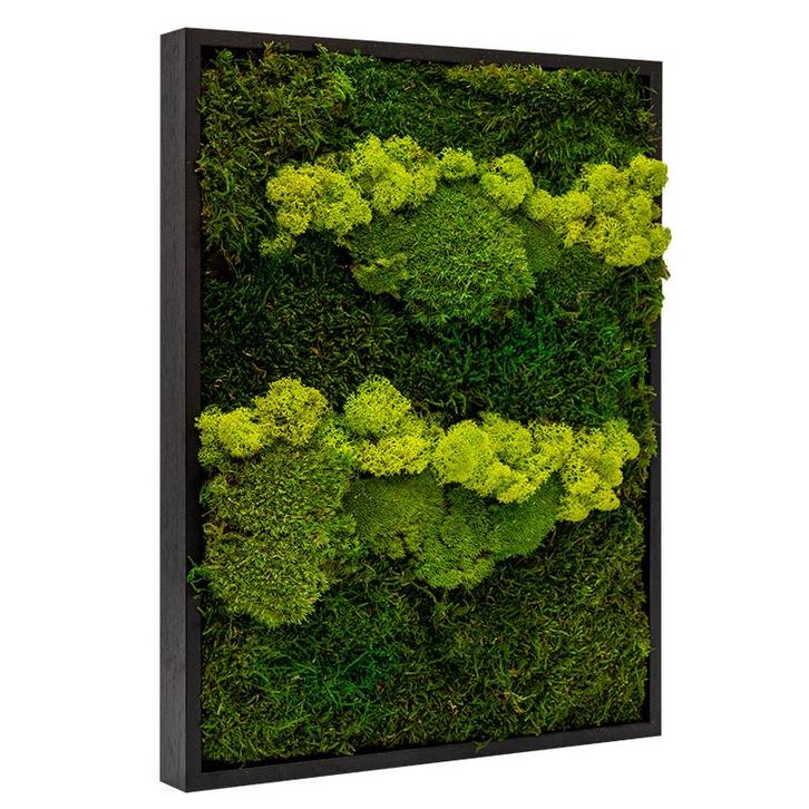 Vintlux Mosschilderij Lappen-Rendier-Bolmos Zwart - Skive L, Huis en Inrichting, Woonaccessoires | Wanddecoraties