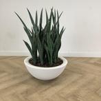 kunst Sanseveria met Elho kunststof plantenbak hoogte 90 cm,, Ophalen of Verzenden