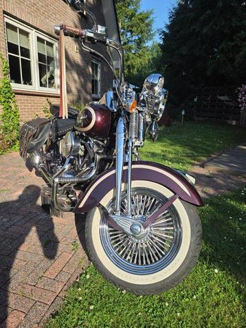 Harley-Davidson - FLSTS - Heritage Softail Springer beschikbaar voor biedingen