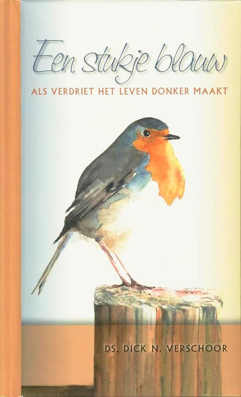 Een stukje blauw 9789076890210 D.N. Verschoor, Boeken, Godsdienst en Theologie, Gelezen, Verzenden