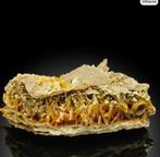 Ingeklemd zeldzaam oranje gips met haliet Kristalcluster -