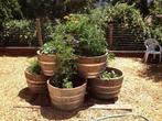 Unieke Houten Kuipen; Bloembakken Olijfboom | Fruitboom |, Ophalen of Verzenden, Nieuw, Rond, Balkon