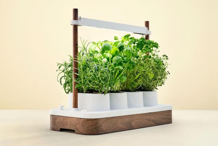 Auk mini binnentuin, Huis en Inrichting, Overige Huis en Inrichting, Verzenden