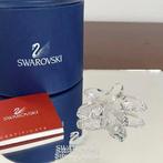 Swarovski - Beeldje - Starfish - 191690 - Box + Certificate