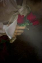 Viet Ha Tran - Roses are red