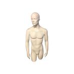 *TIP*  Gebruikte torso man 3/4 model met hoofd van glasvezel, Zakelijke goederen, Kantoor en Winkelinrichting | Winkel en Inventaris