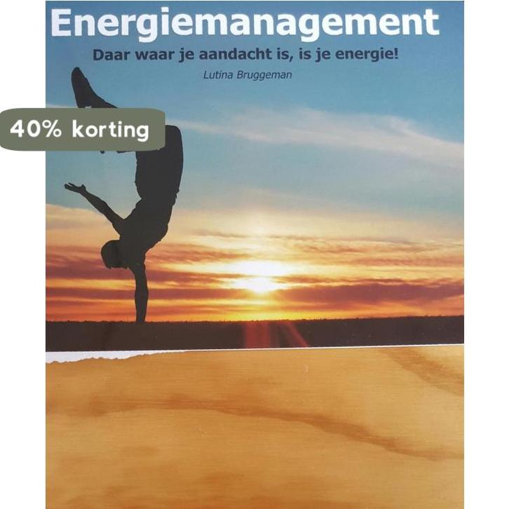 Energiemanagement 9789090228044 L. Bruggeman, Boeken, Economie, Management en Marketing, Zo goed als nieuw, Verzenden