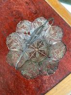 Bonbon mand - Zilver - filigrain Indonesie