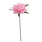 CURVE ROSE CAD Roze DOOS48 st Flowerwall bruidsboeket, Ophalen of Verzenden, Nieuw
