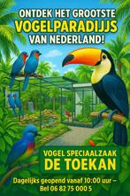 Geopend tot 20.00 uur op zondag, donderdag en vrijdag, Meerdere dieren, Tropenvogel, Geringd