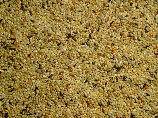 Neophemazaad - Neophemazaad 5 kilo - Himbergen    -, Dieren en Toebehoren, Vogels | Toebehoren, Nieuw, Verzenden