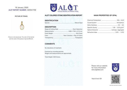 Geen minimumprijs - ALGT-gecertificeerd - Natuurlijke, Verzamelen, Mineralen en Fossielen