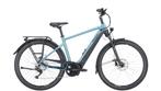 Pegasus Premio EVO 10 Lite 2024, Fietsen en Brommers, Elektrische fietsen, Verzenden, Gebruikt