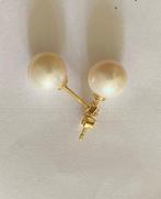 Zonder Minimumprijs - Oorbellen - 18 karaat Geel goud Parel, Sieraden, Tassen en Uiterlijk, Oorbellen, Nieuw