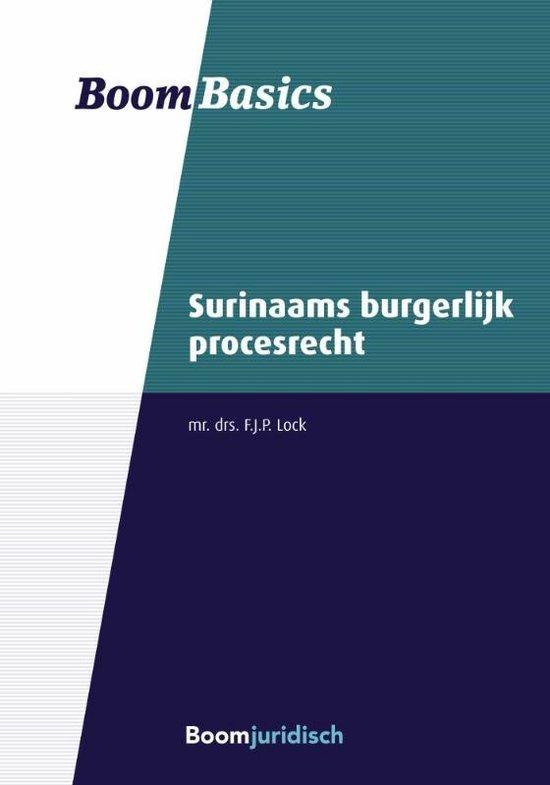 9789462126916 Boom Basics  -   Surinaams burgerlijk proce..., Boeken, Schoolboeken, Nieuw, Verzenden